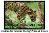 Animal Education image 1